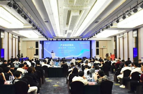 中國新電商大會產(chǎn)業(yè)鏈對接展示活動(dòng)啟幕 啟迪控股承辦展覽展示助力產(chǎn)業(yè)融合