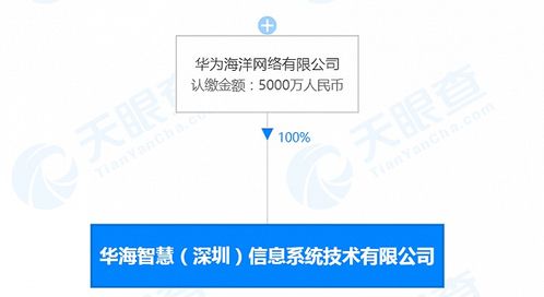 華為海洋深圳新公司成立，深耕數(shù)據(jù)處理領(lǐng)域